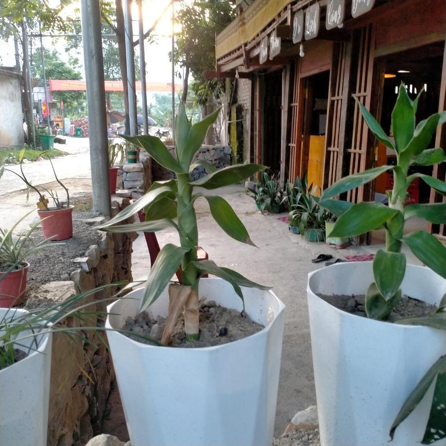Du Gia Homestay Friendly Làng Cac Zewnętrze zdjęcie