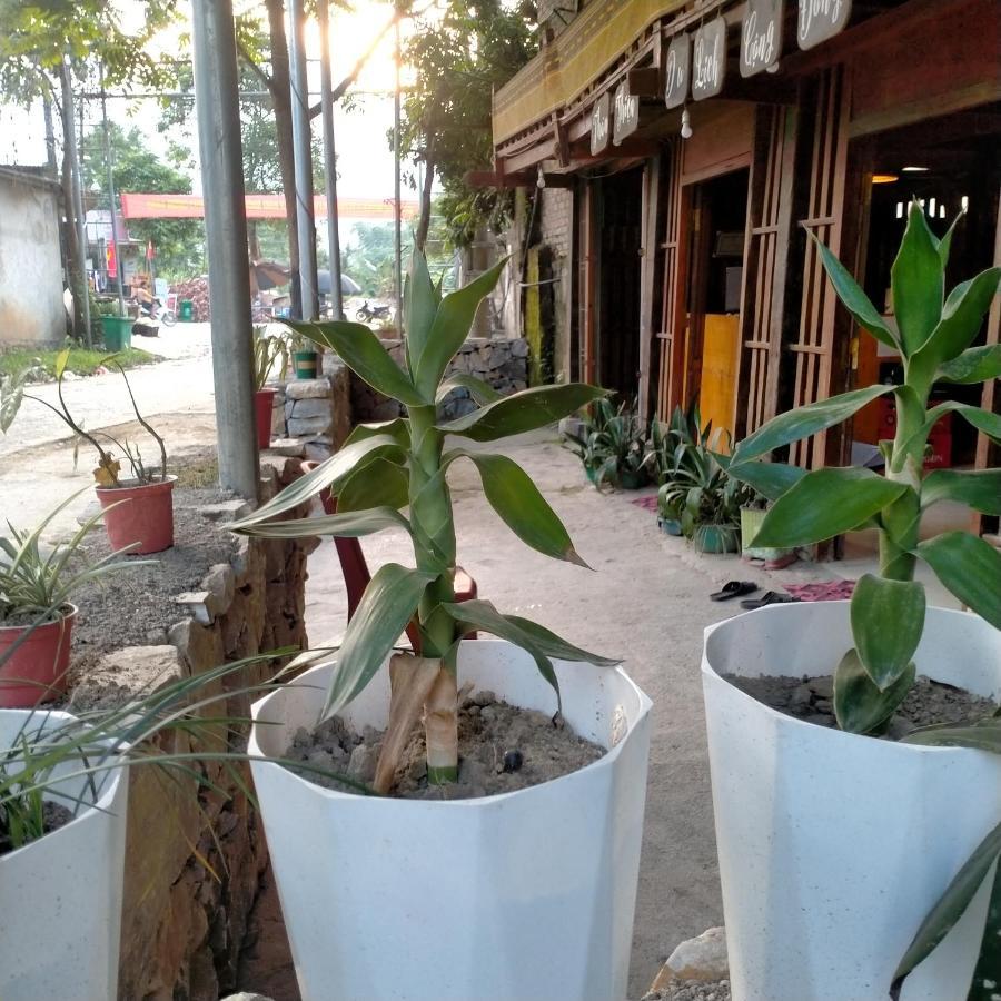 Du Gia Homestay Friendly Làng Cac Zewnętrze zdjęcie